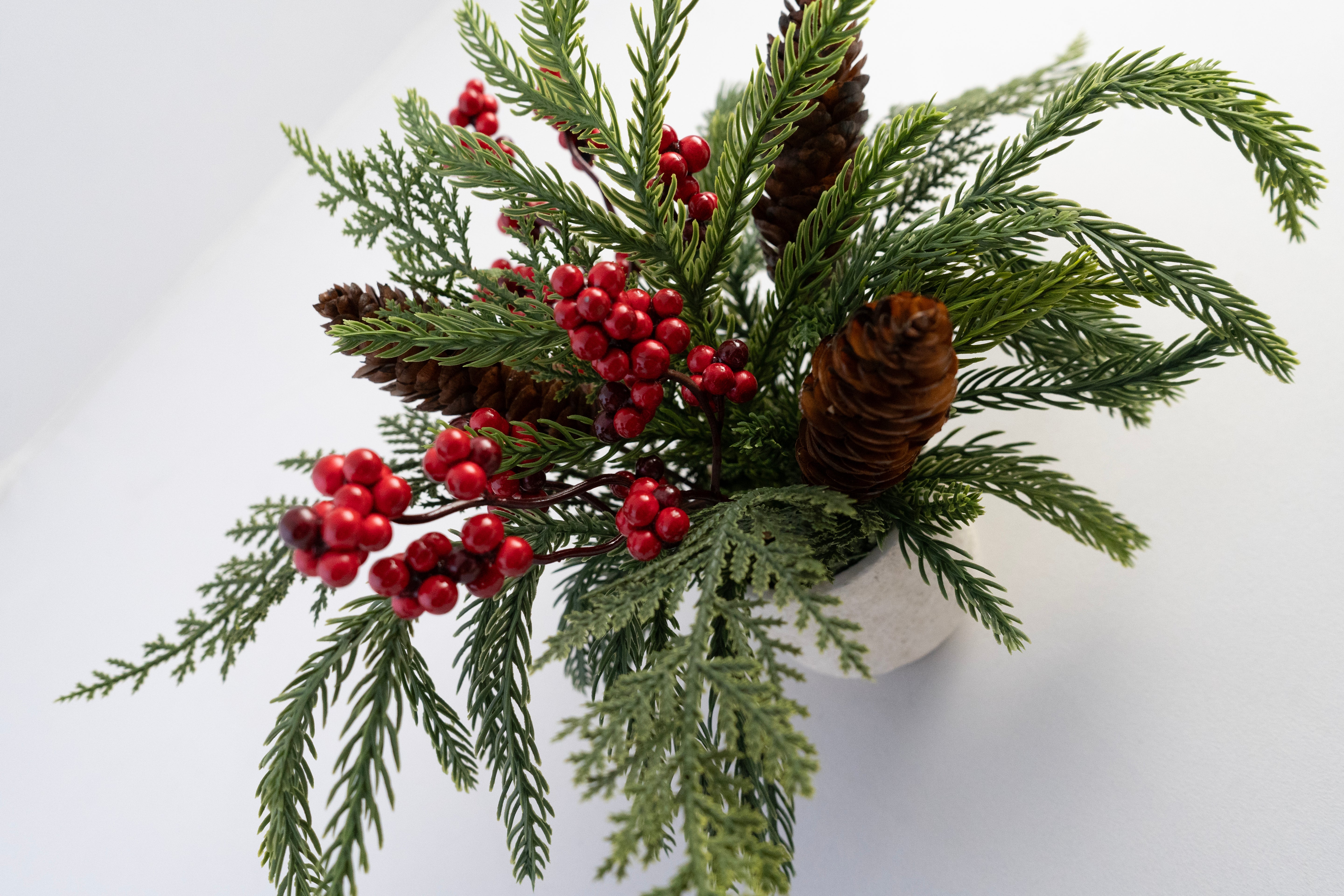 Berry & Pine Pot