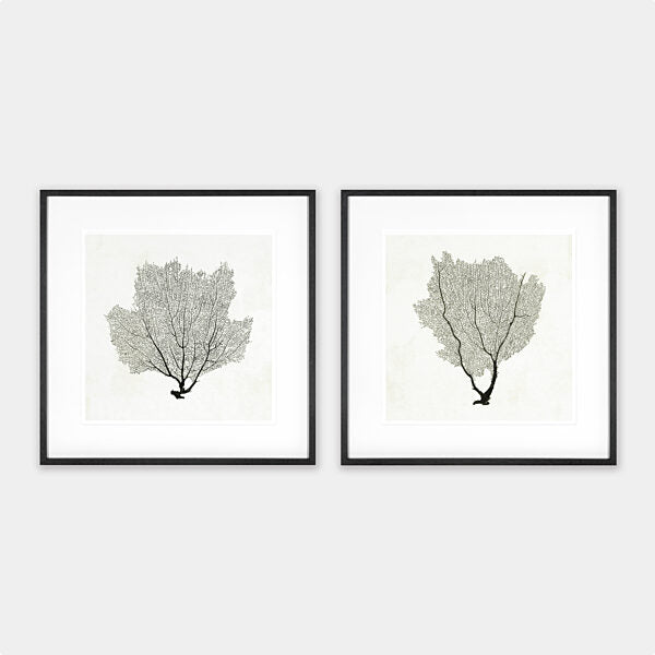BLACK CORAL ARTWORK - SET OF 2