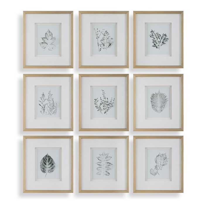 FLORA ILLUSTRATIONS SET OF 9 ARTWORK
