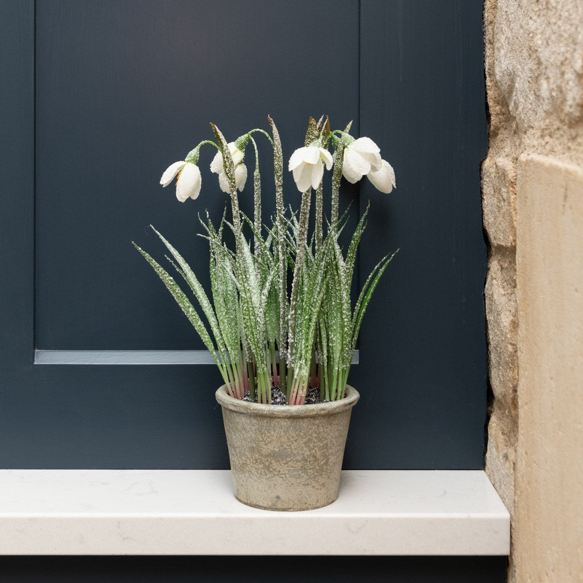 FROSTED SNOWDROPS IN POT 27cm