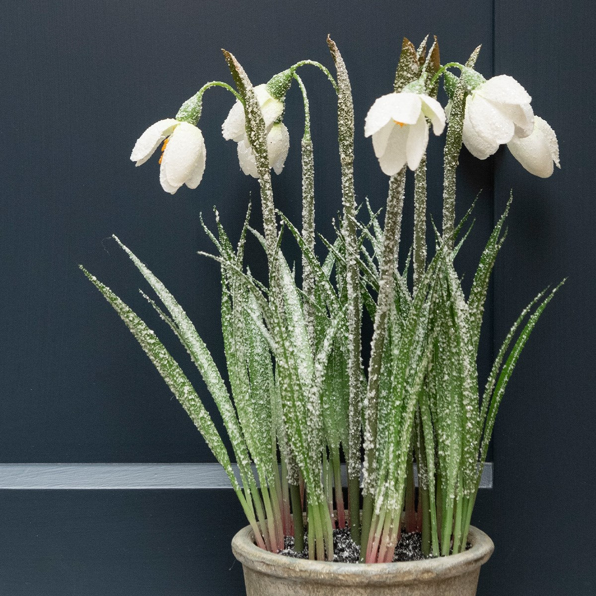 FROSTED SNOWDROPS IN POT 27cm