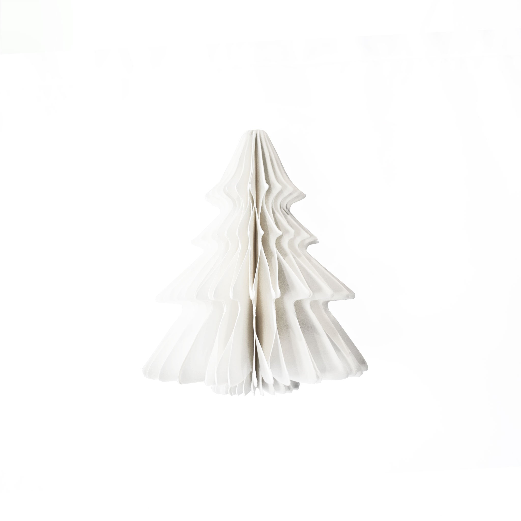 WHITE HANGING TREE