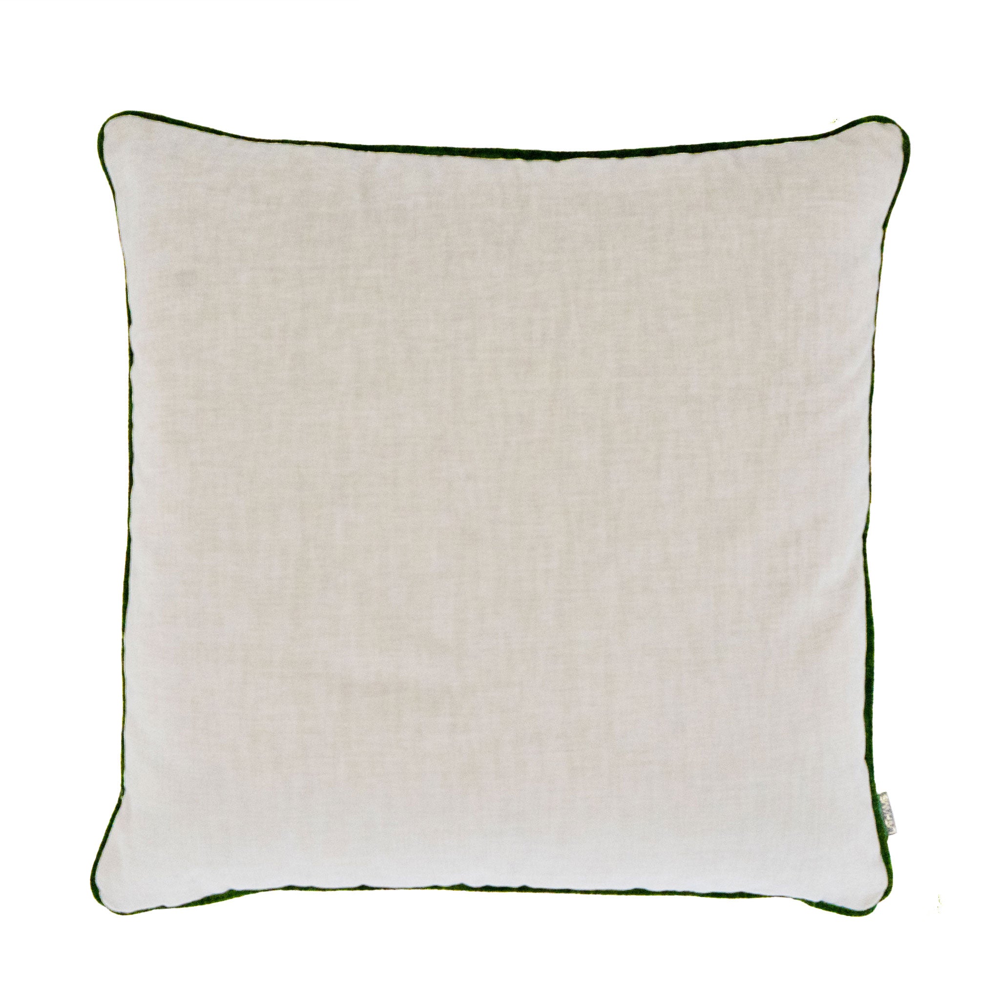 HIDDEN GEM HINT OF FOREST