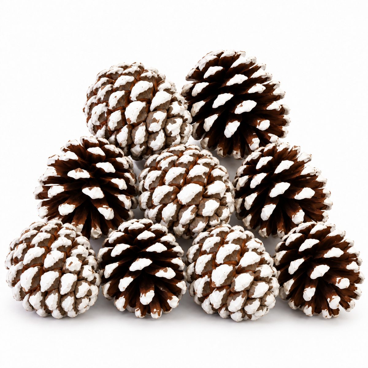 BAG OF WHITE TIPPED CONES