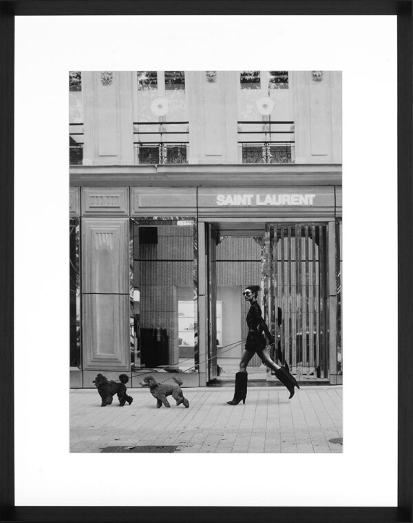 SAINT LAURENT x POODLE