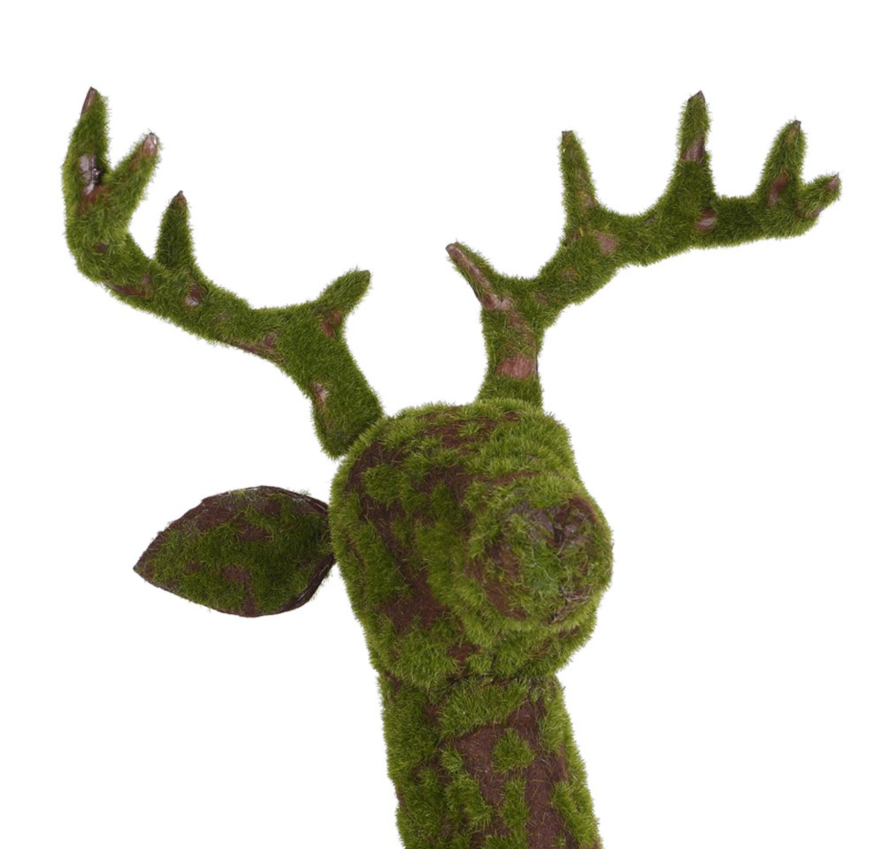 MOSS LAID DEER