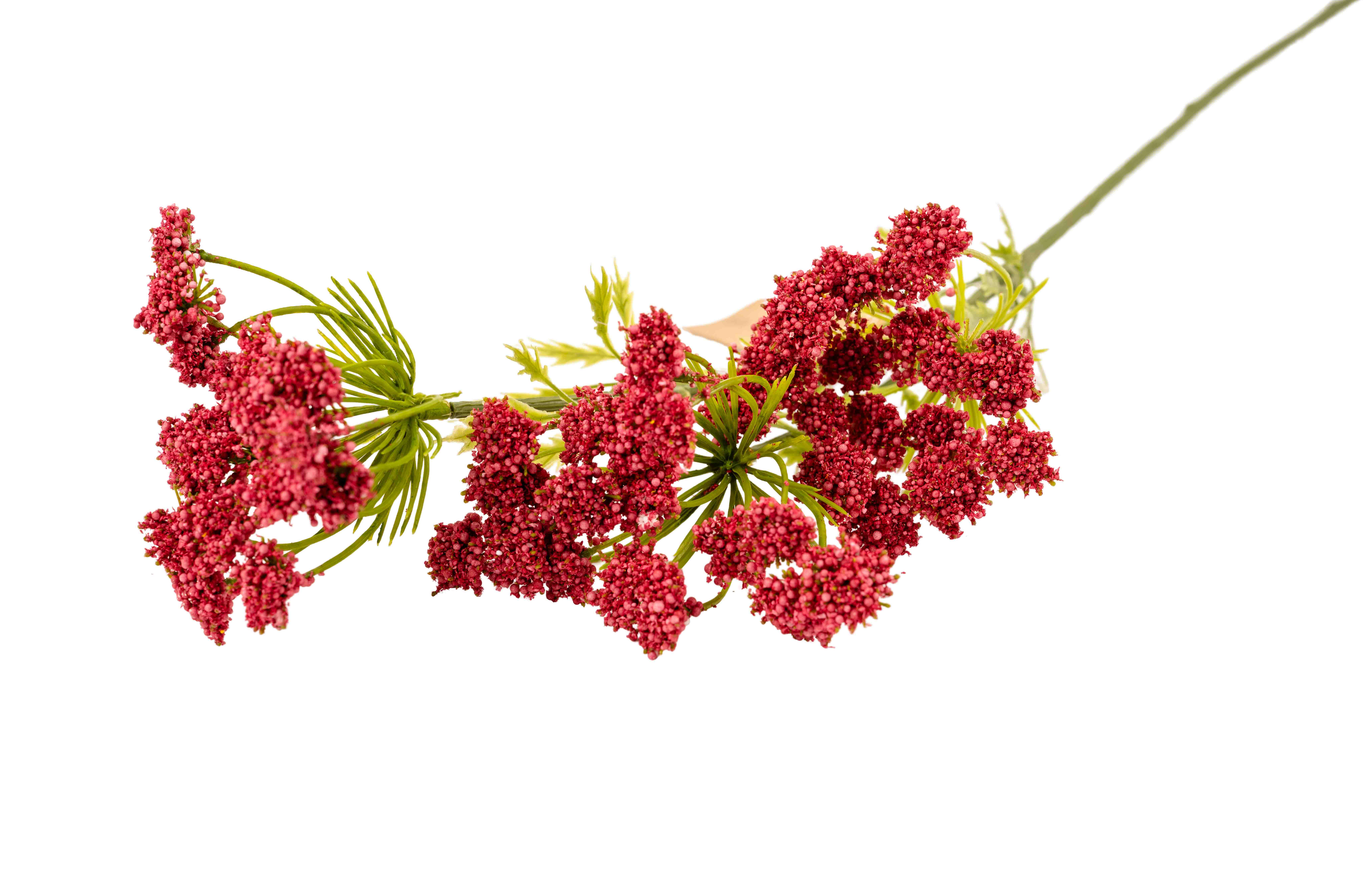 COW PARSLEY SPRAY PINK