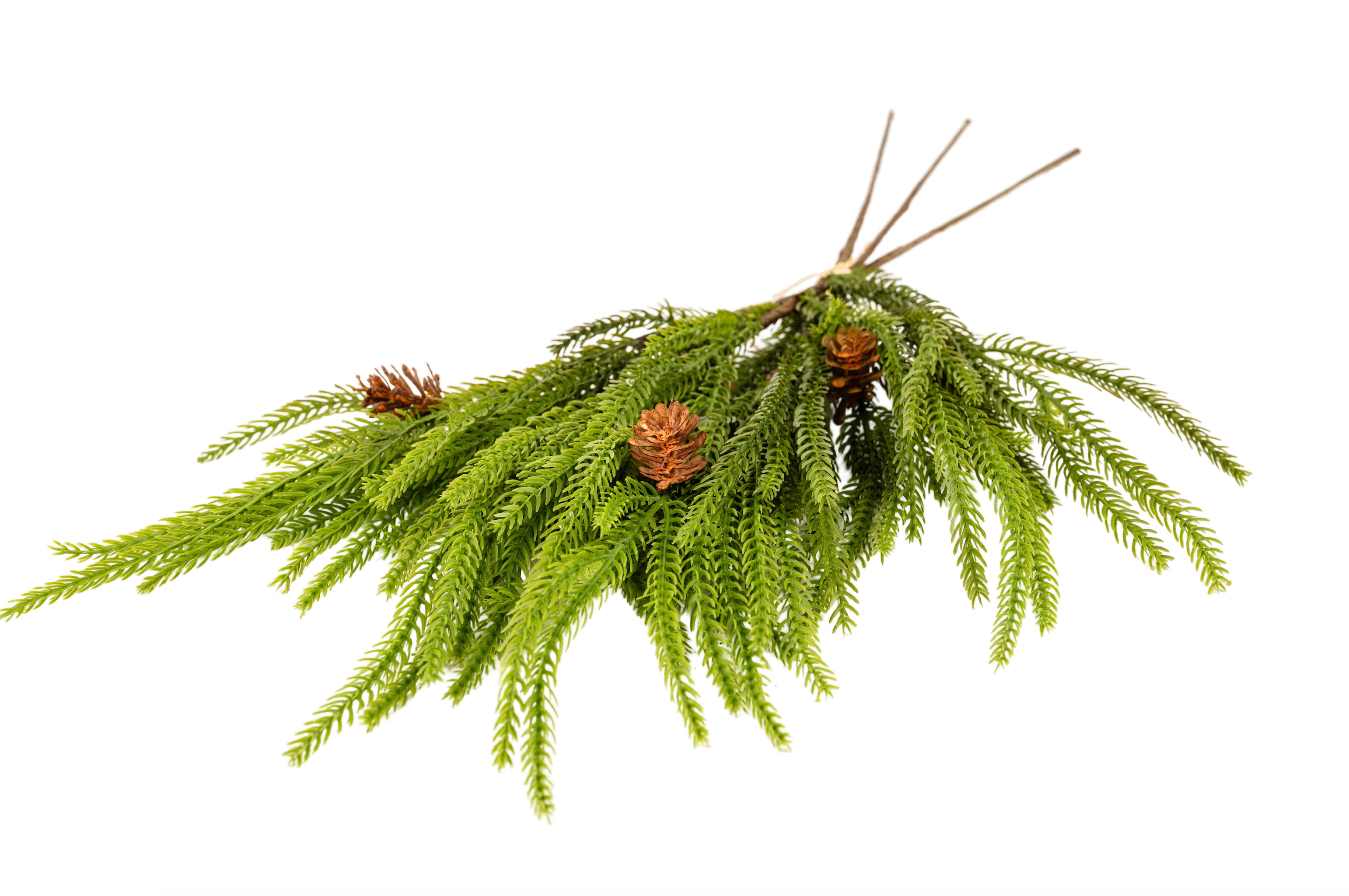 WEEPING NORFOLK PINE HANDTIE