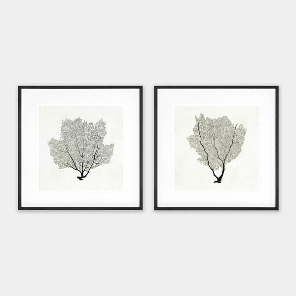 BLACK CORAL ARTWORK - SET OF 2
