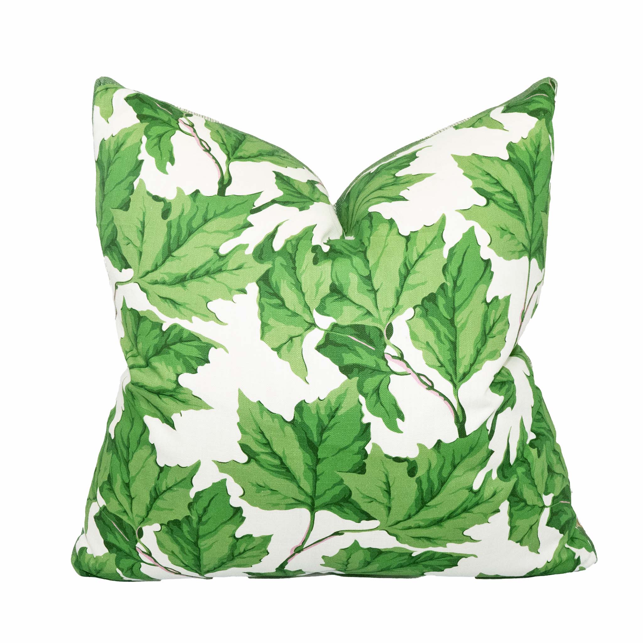 CANOPY