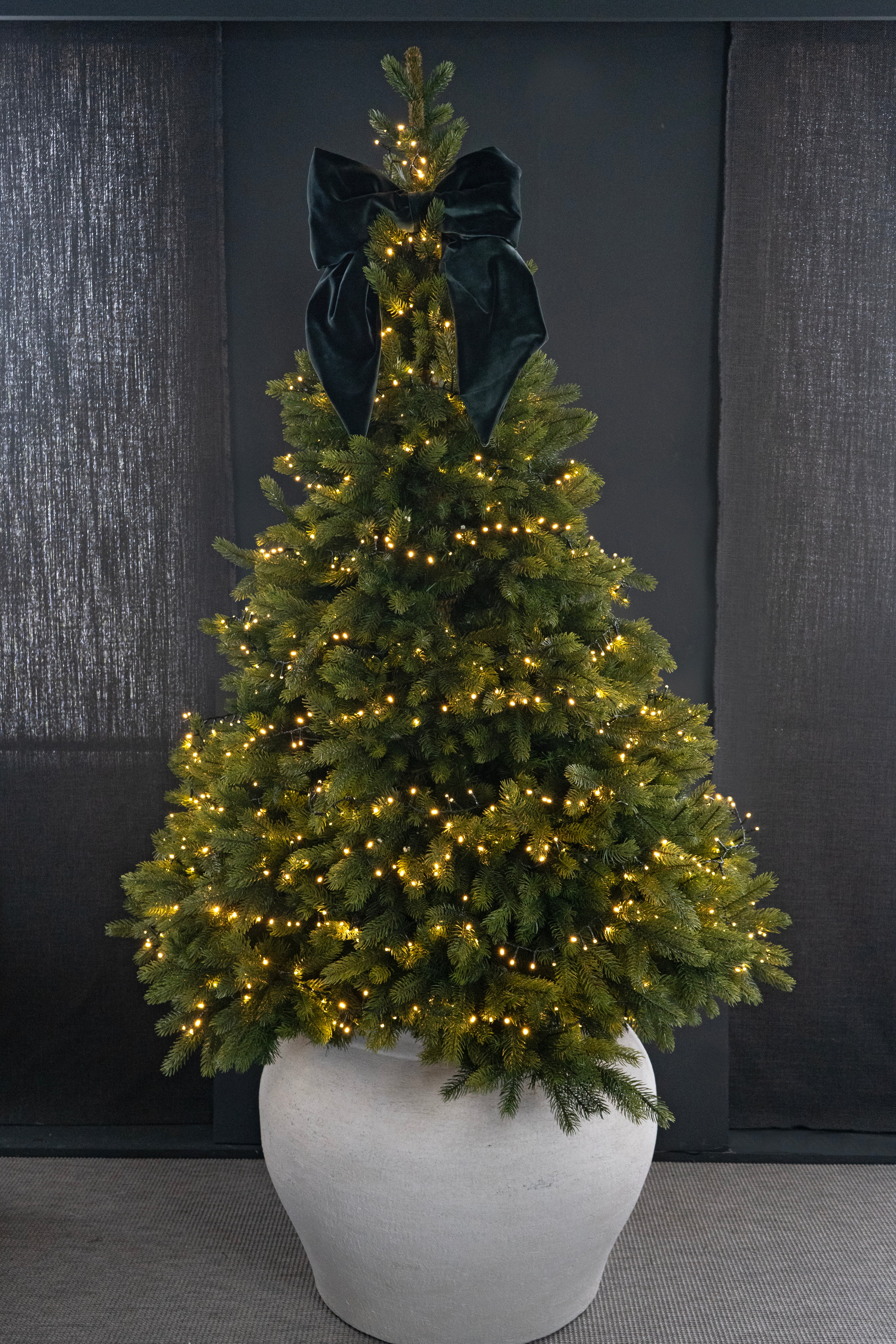 LATHAMS EXCLUSIVE GIANT BOW GREEN VELVET