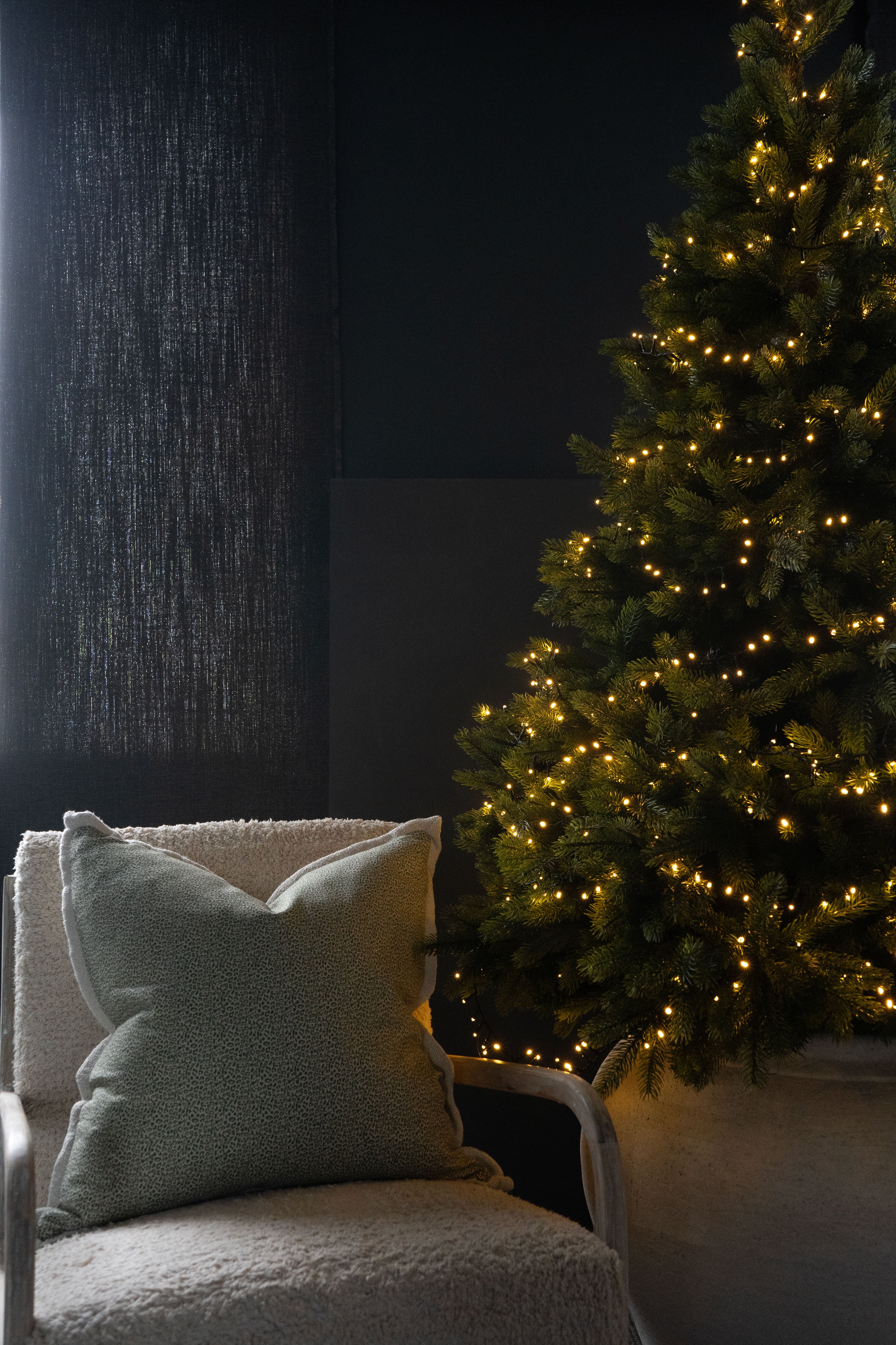 EVENTIDE EVERGREEN