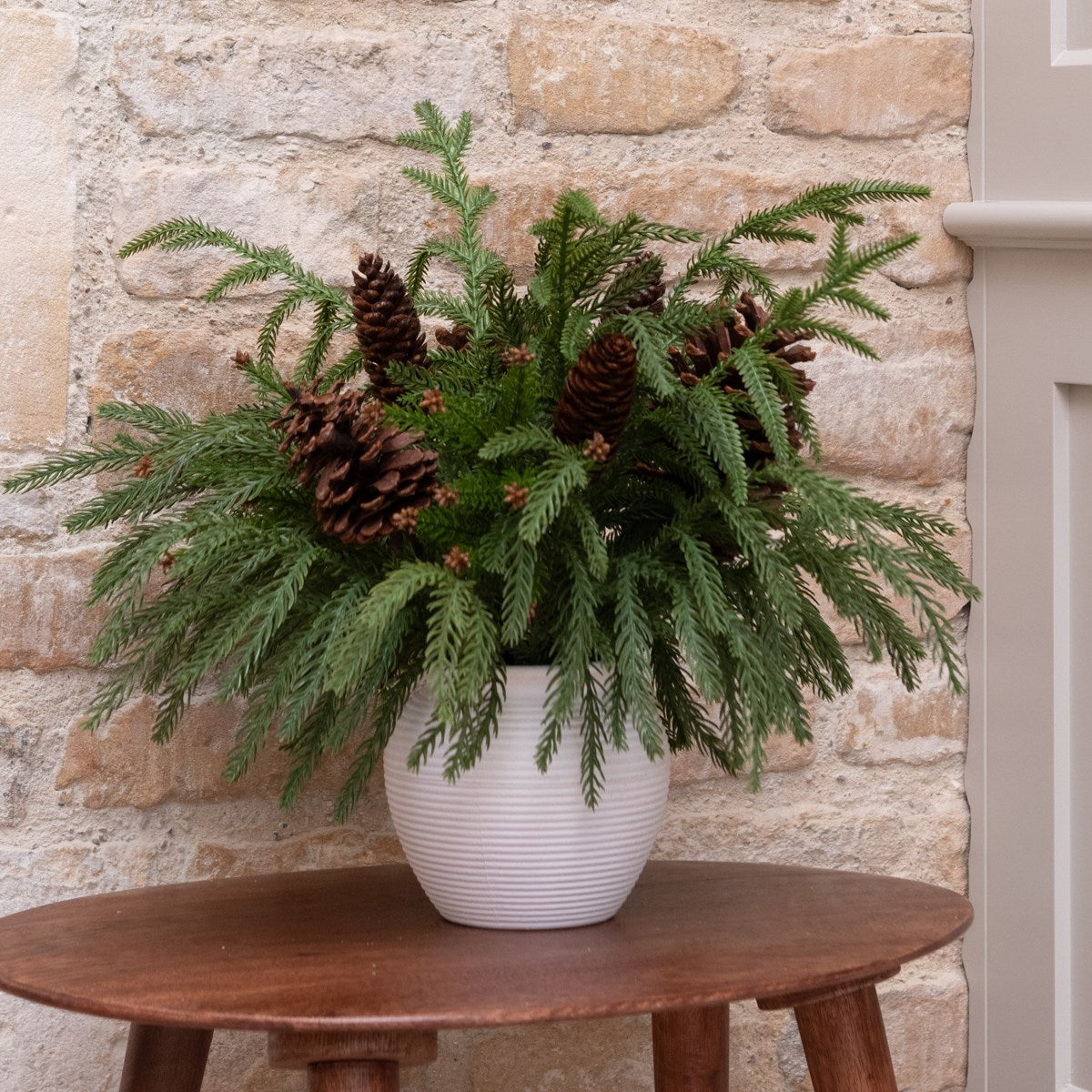 WAXED PINE & PINECONE IN POT