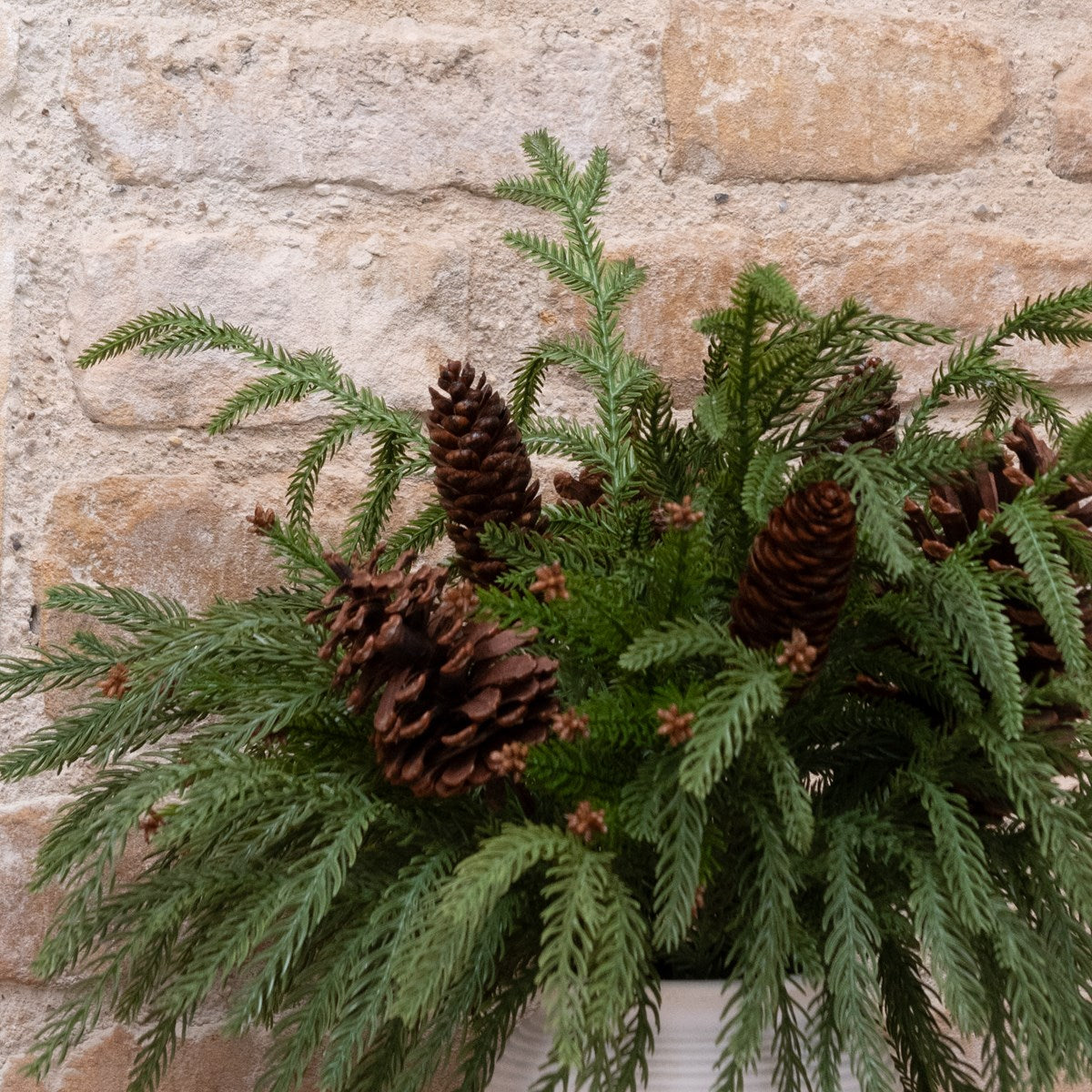 WAXED PINE & PINECONE IN POT