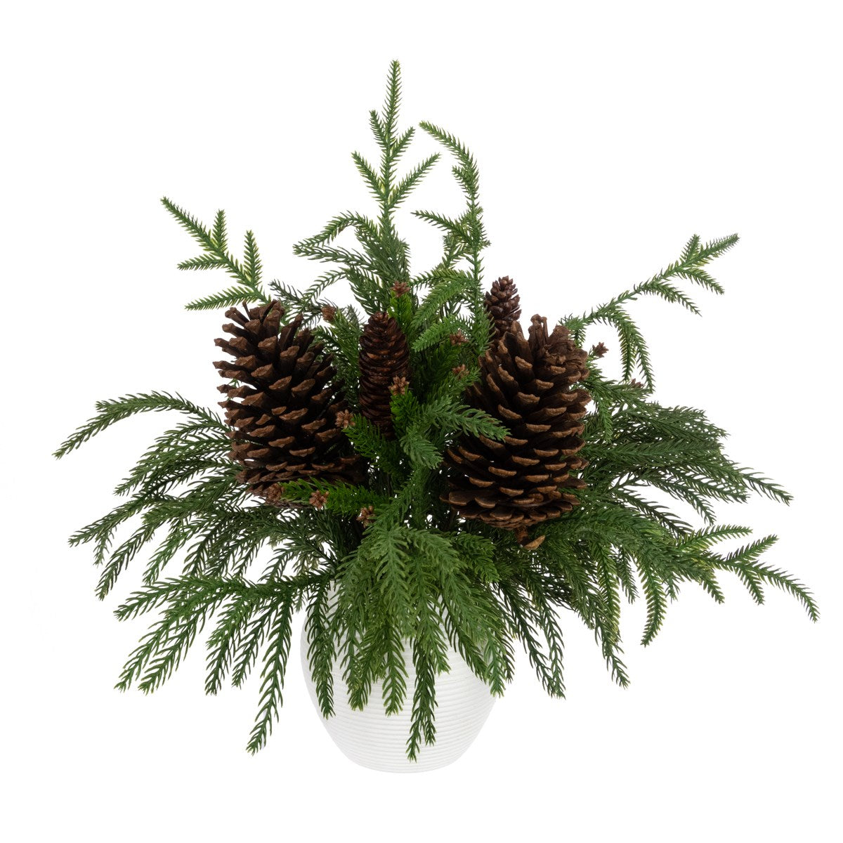 WAXED PINE & PINECONE IN POT