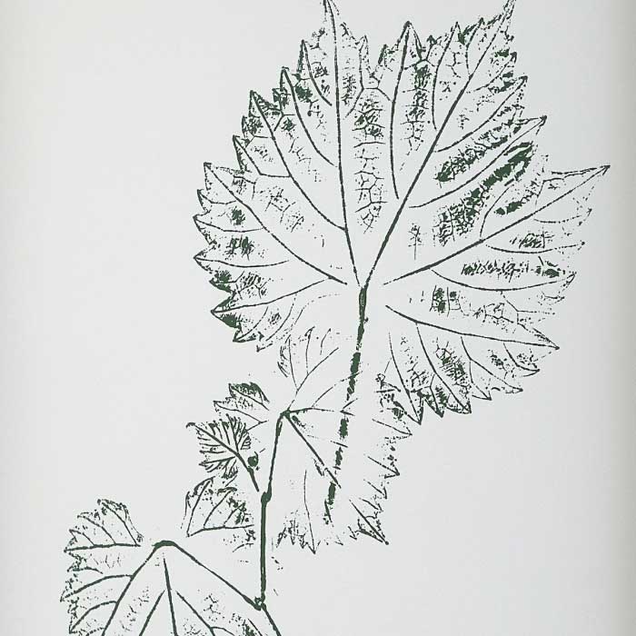 FLORA ILLUSTRATIONS SET OF 9 ARTWORK