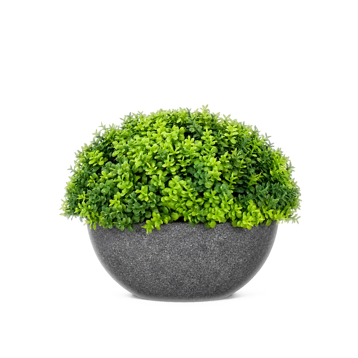 HEBE GLOBE POT - SMALL
