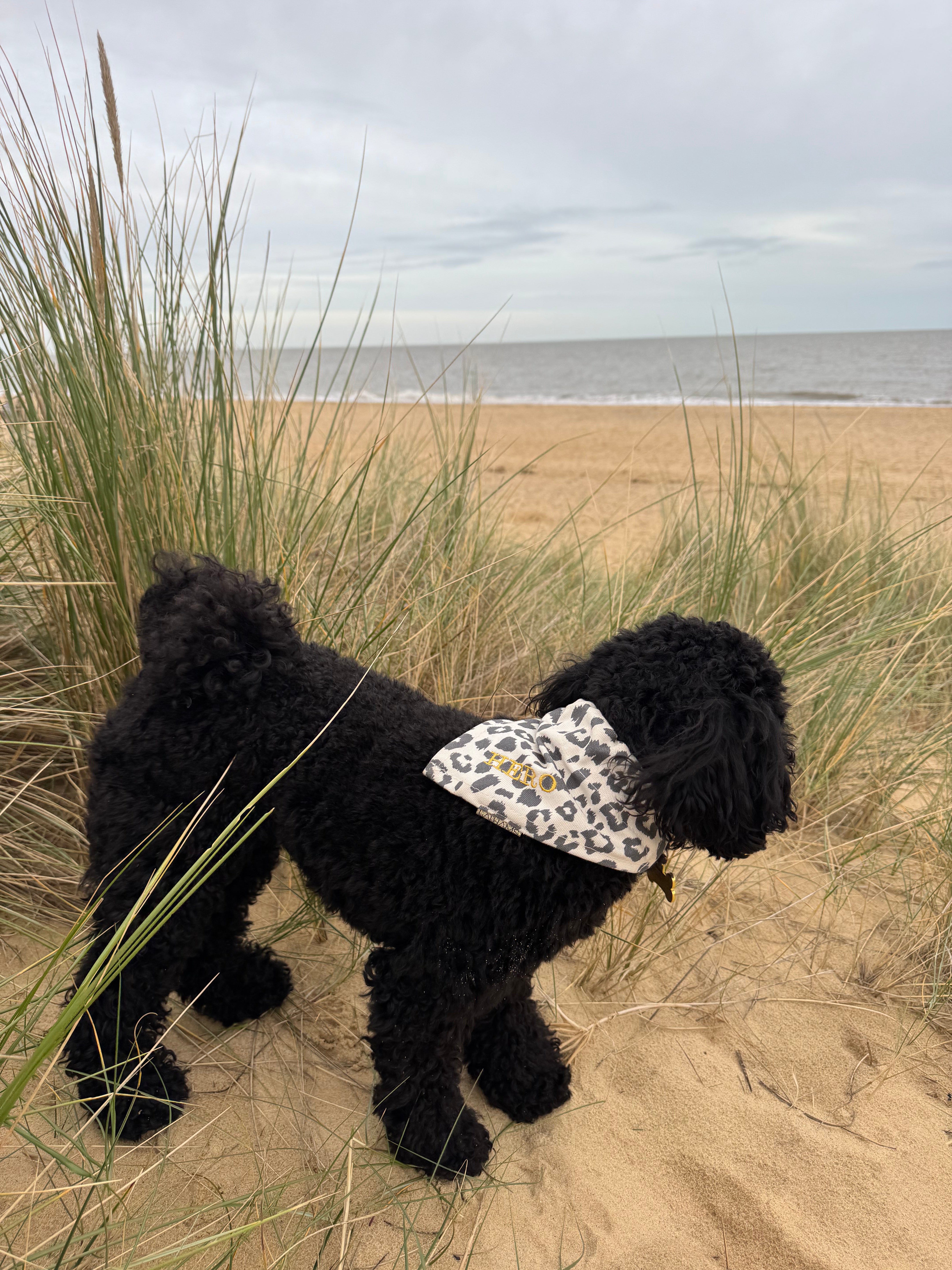 LATHAMS DOGGY BANDANNA