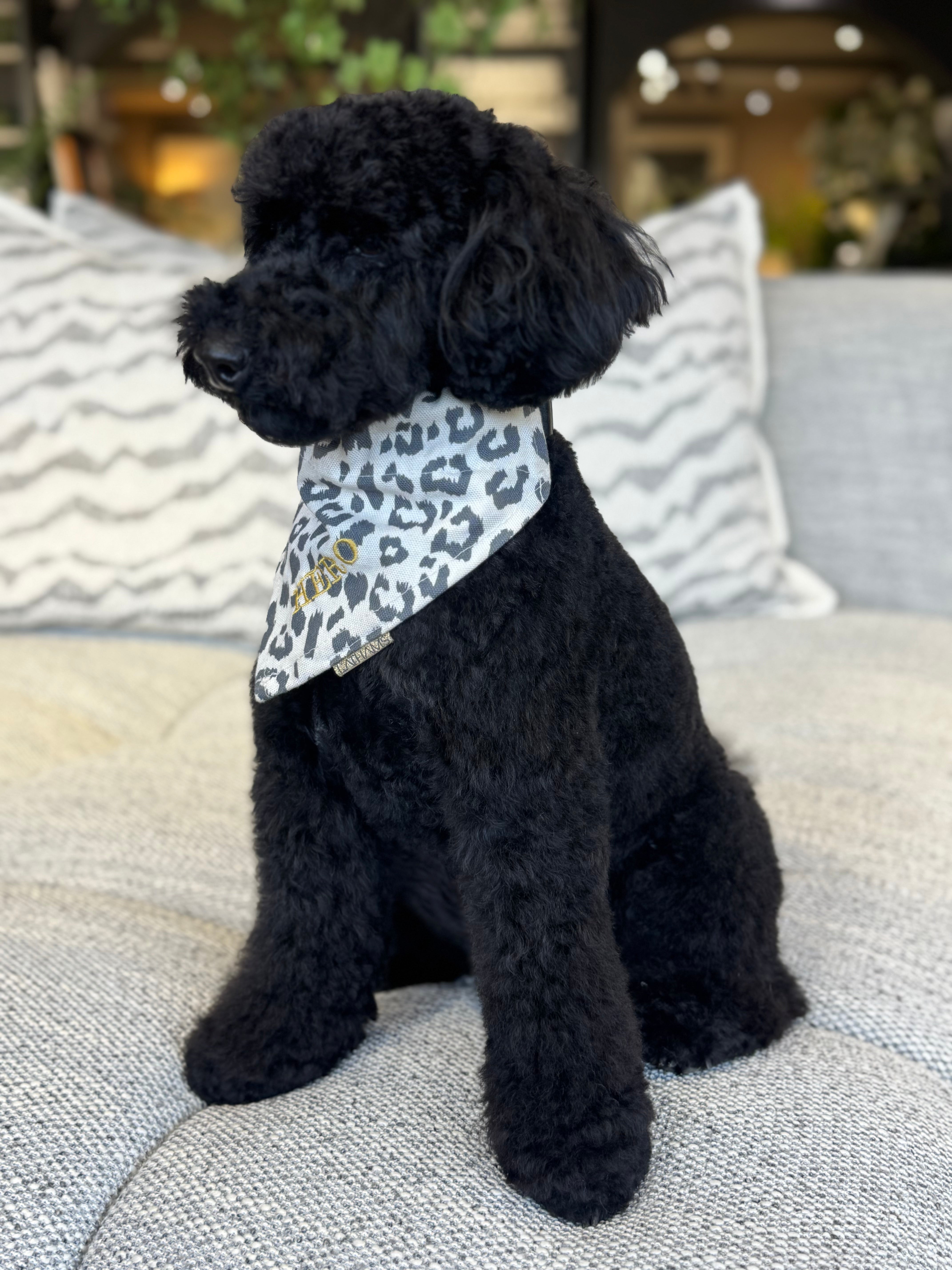 LATHAMS DOGGY BANDANNA