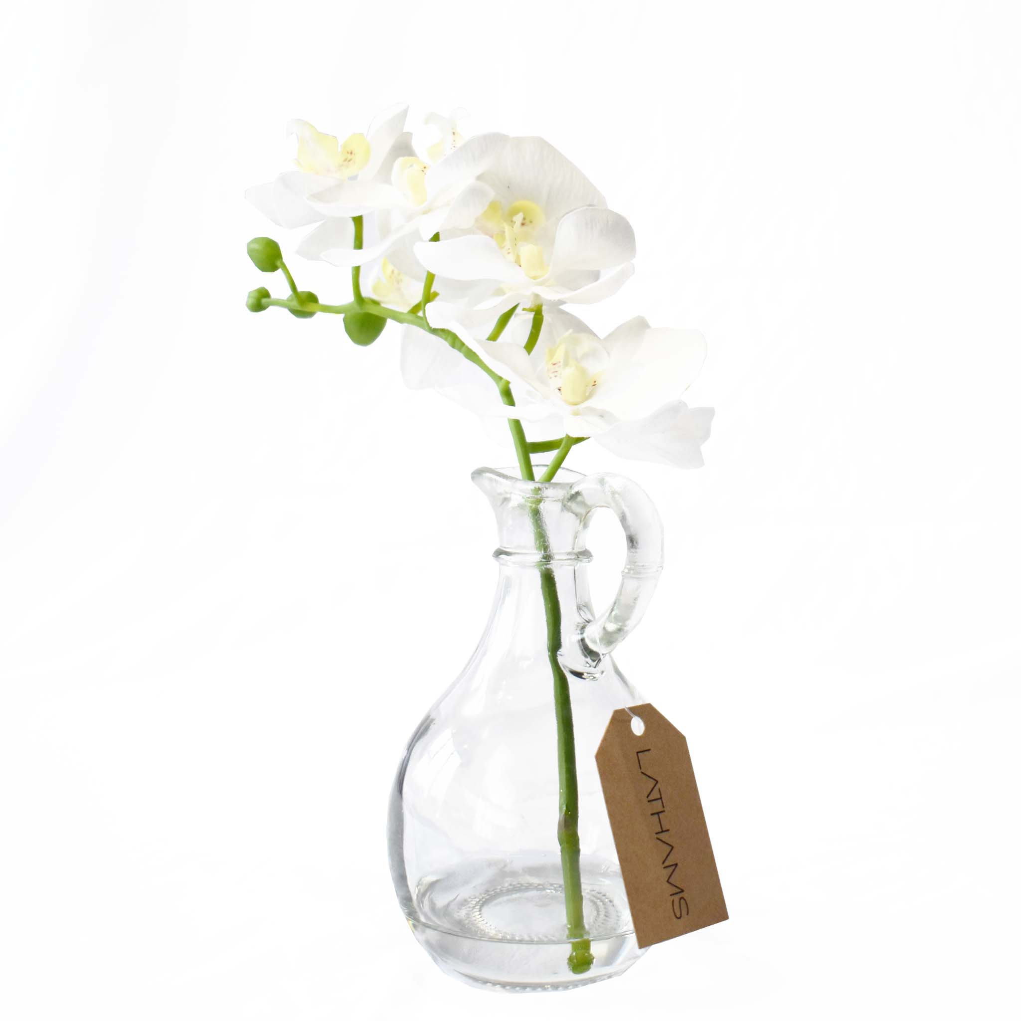 ORCHID IN GLASS JAR