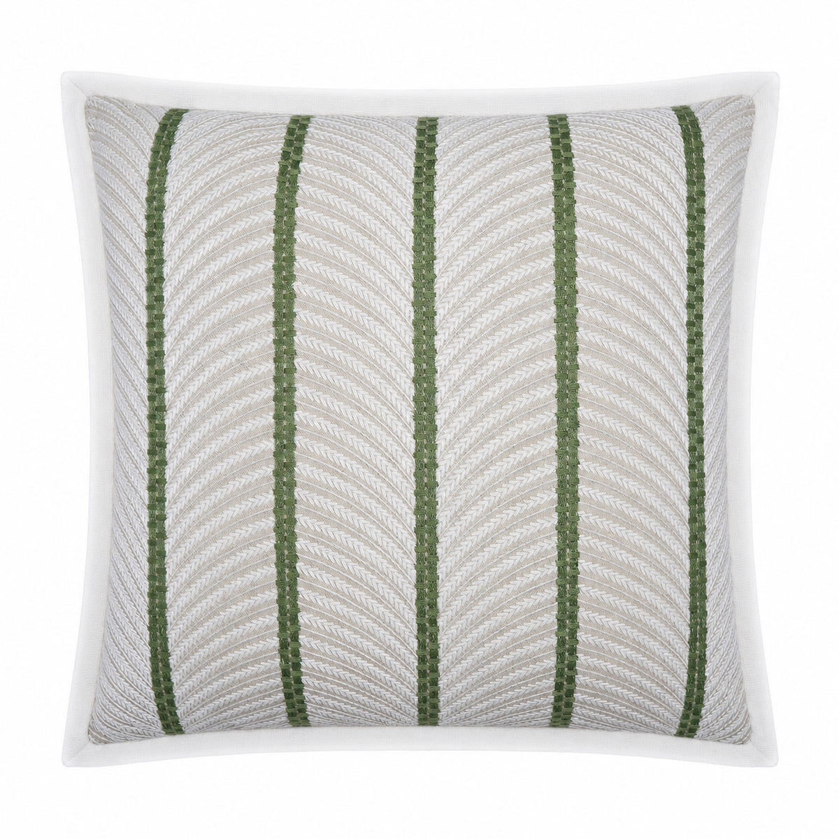 PALM COURT MOSS
