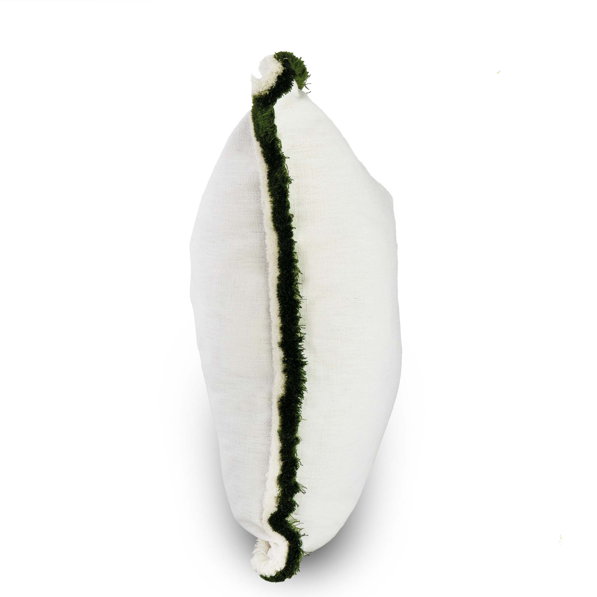 PAPERWHITE