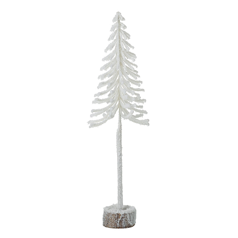 WHITE FIR TREE (Small)