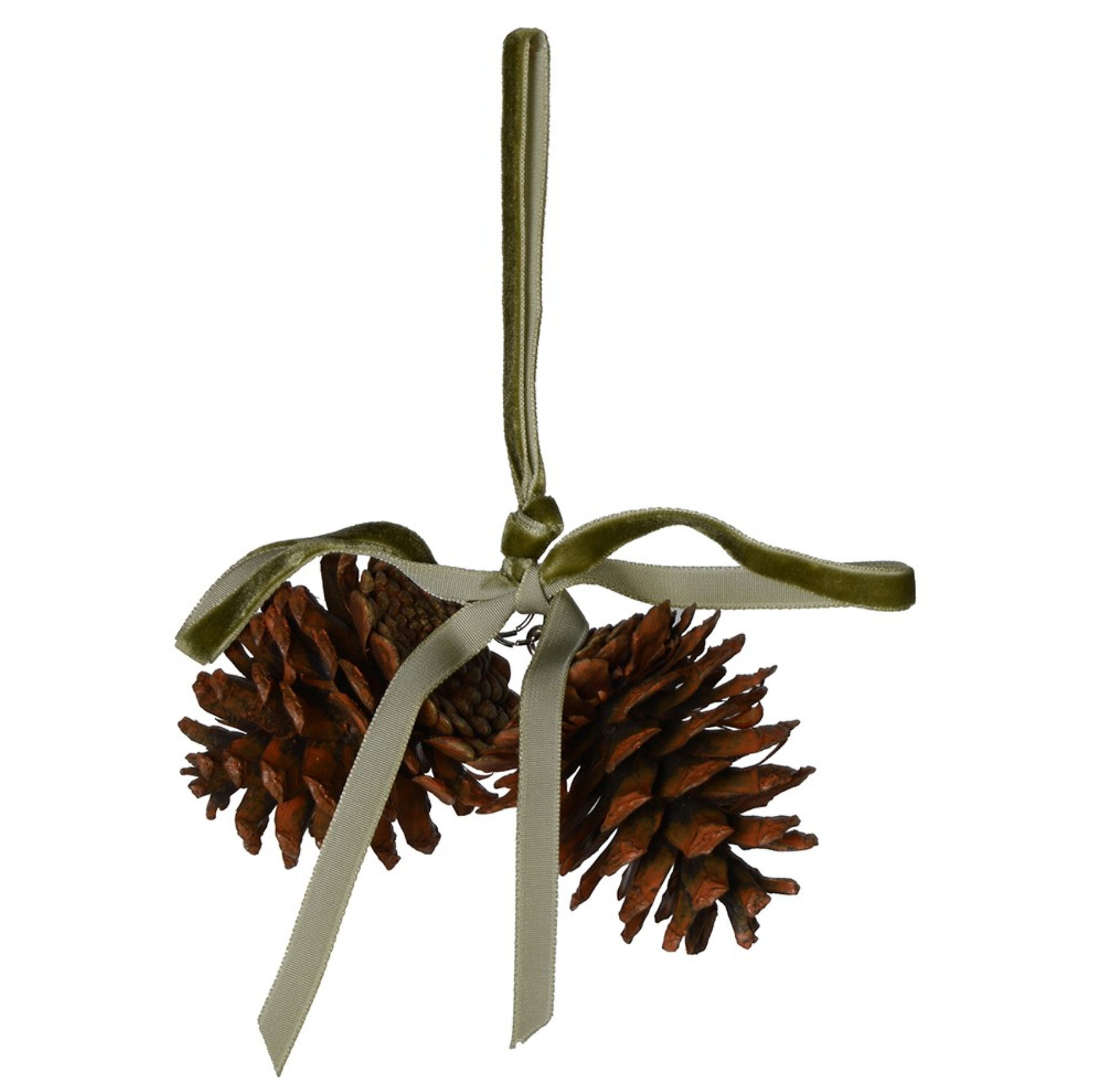 PINECONE WITH GREEN BOW