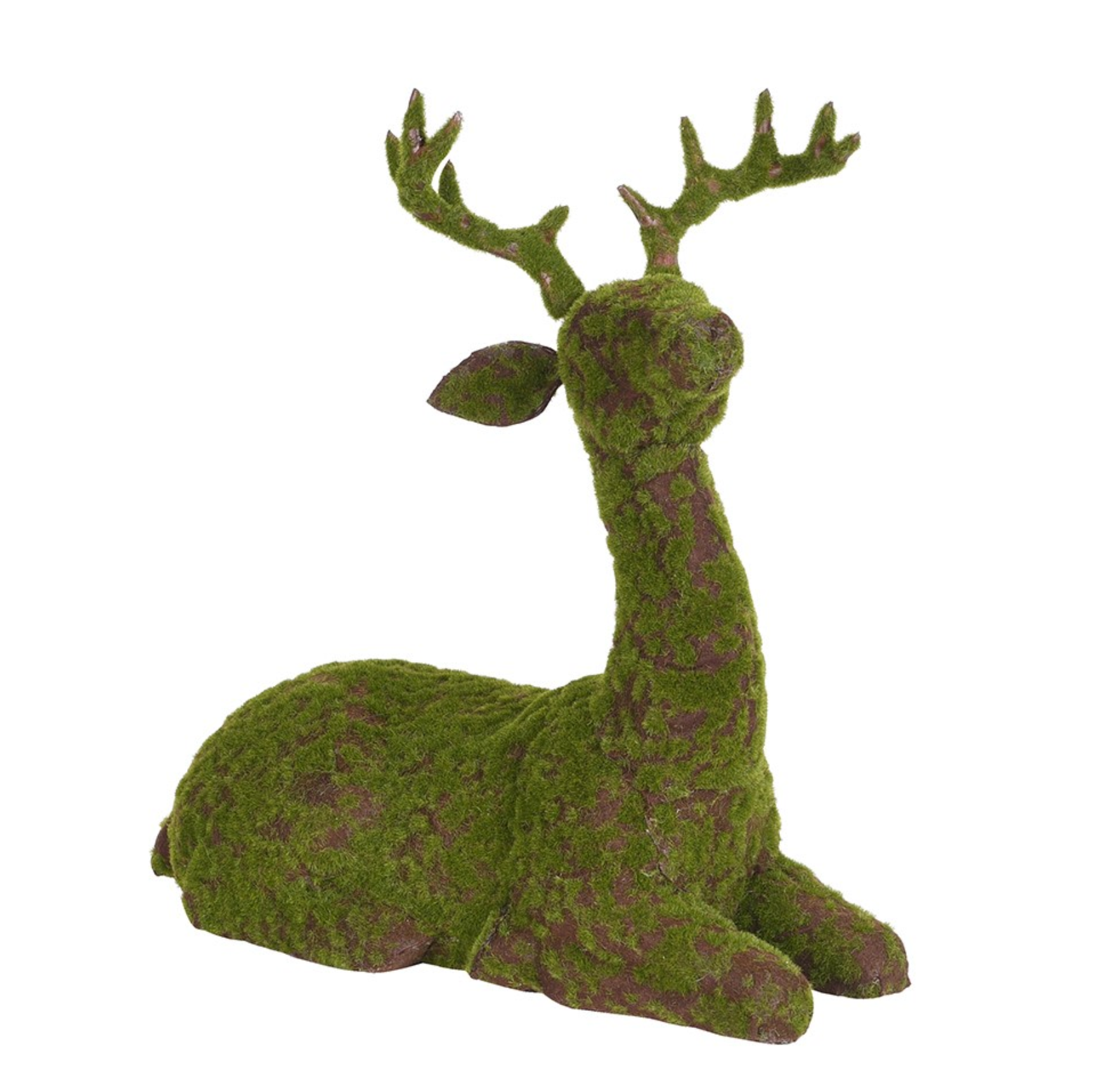 MOSS LAID DEER