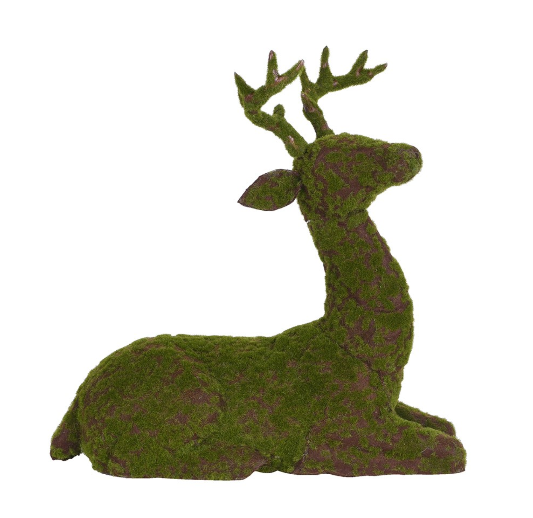 MOSS LAID DEER