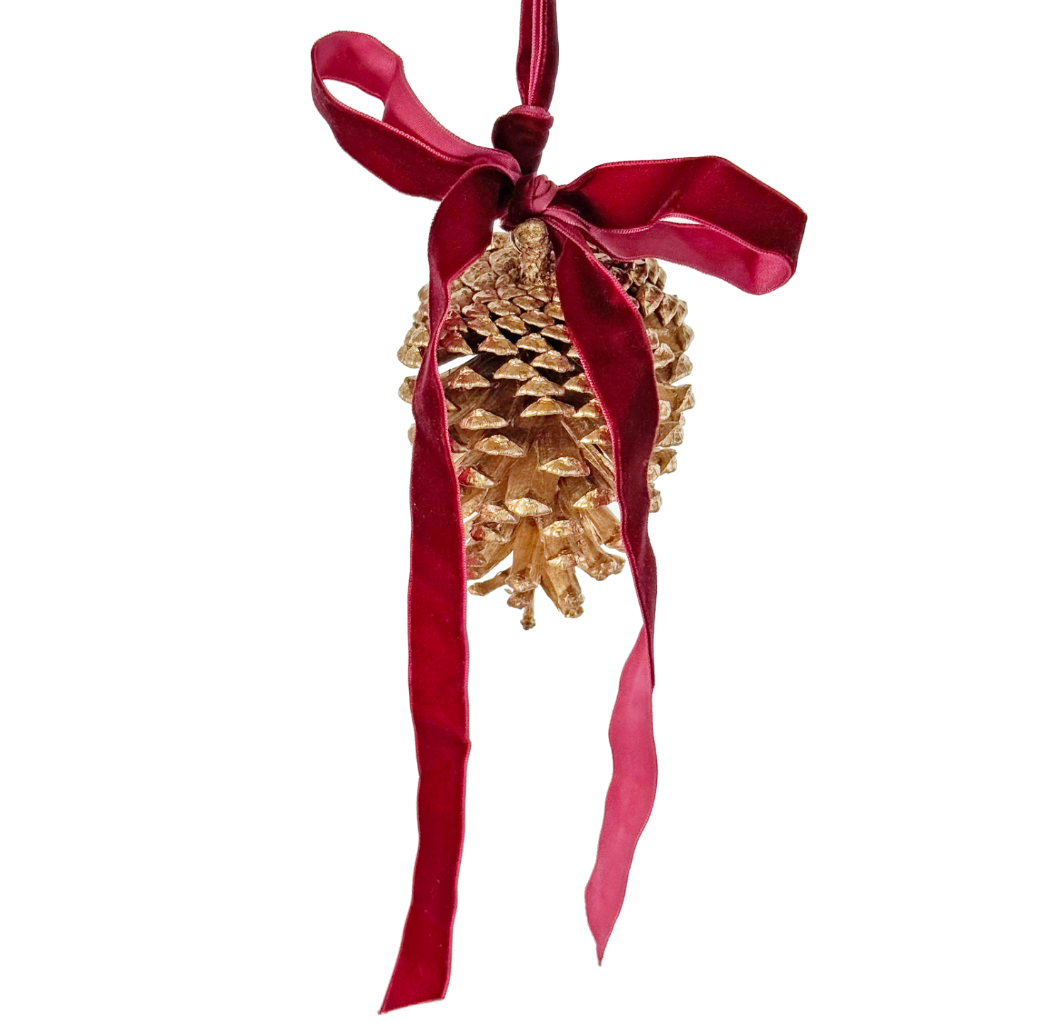 Cedar cone ornament with red bow