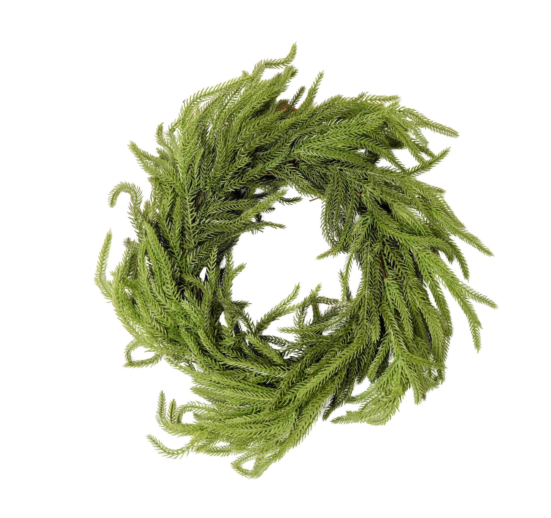 WEEPING NORFOLK PINE WREATH