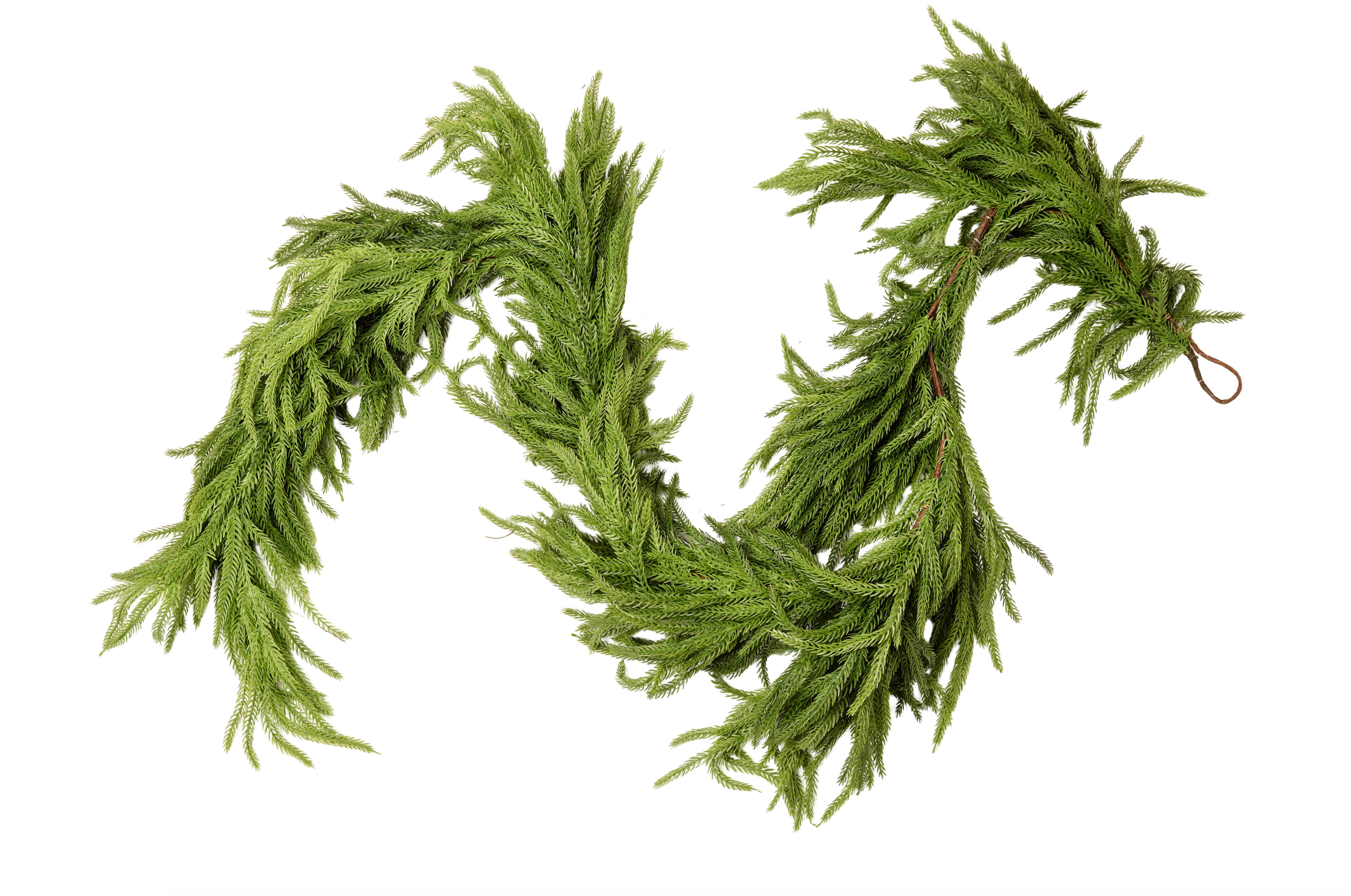 WEEPING NORFOLK PINE GARLAND