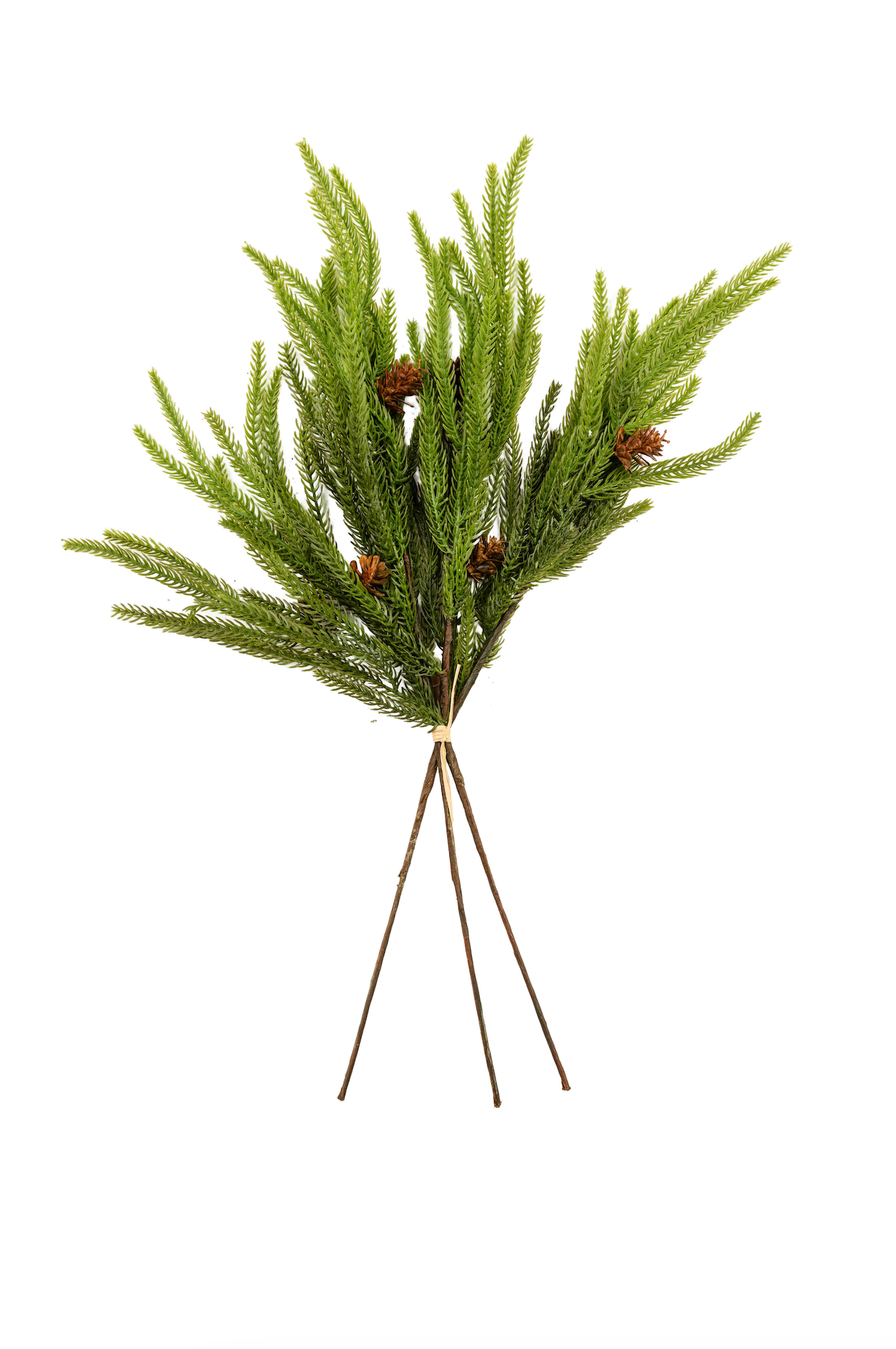 WEEPING NORFOLK PINE HANDTIE