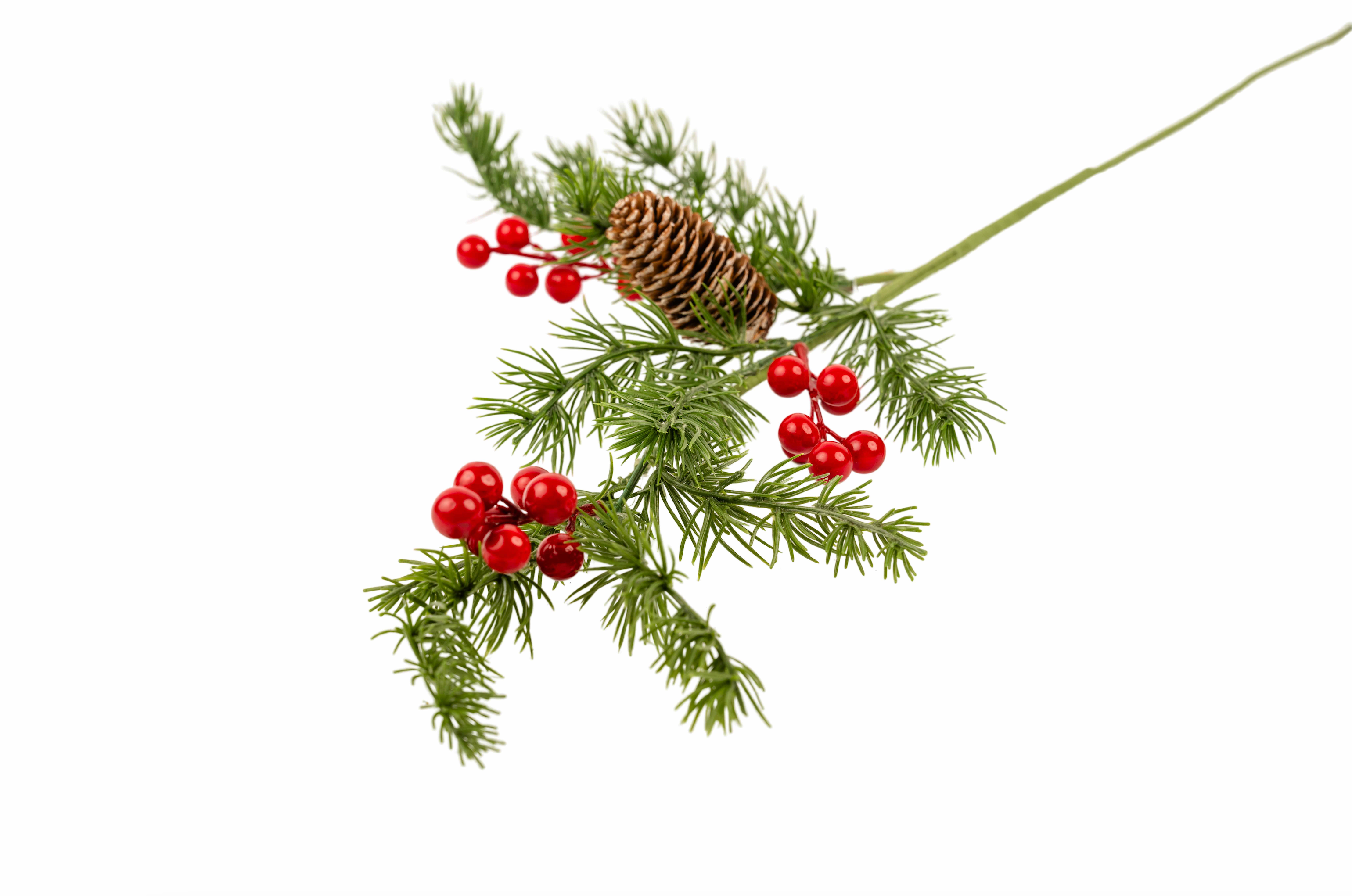 ROYAL PINE & BERRY STEM